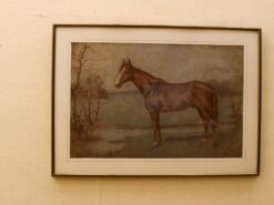 Prent/tekening van een paard 47763