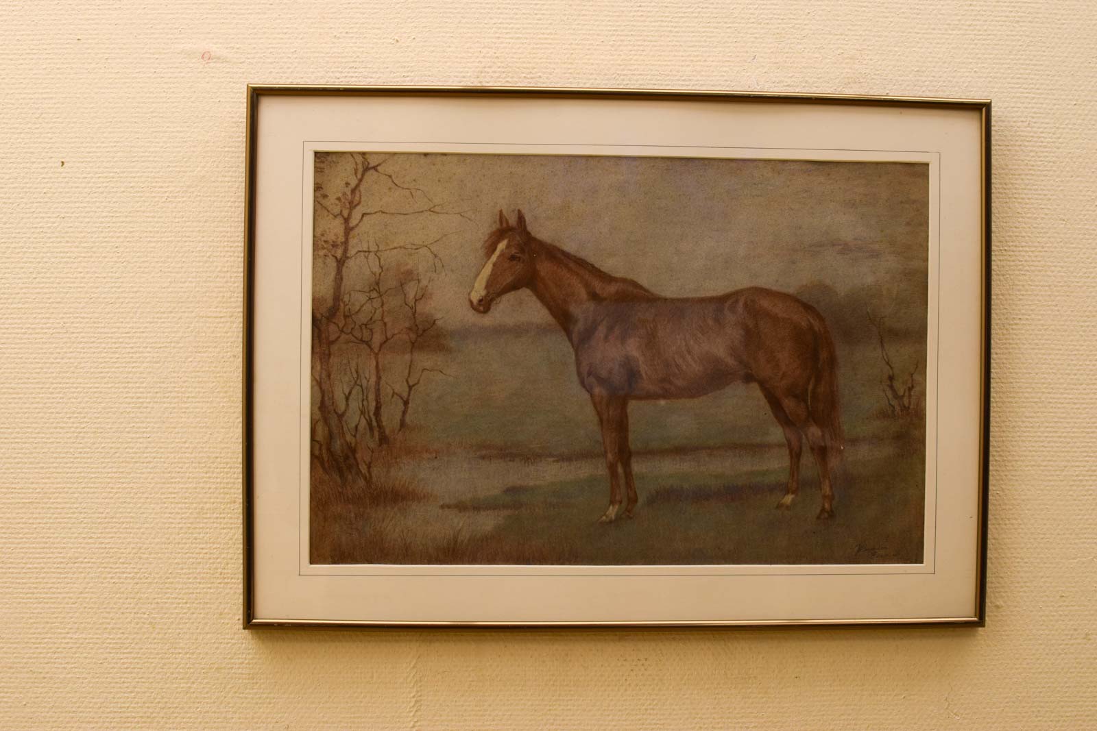 Prent/tekening van een paard  47763