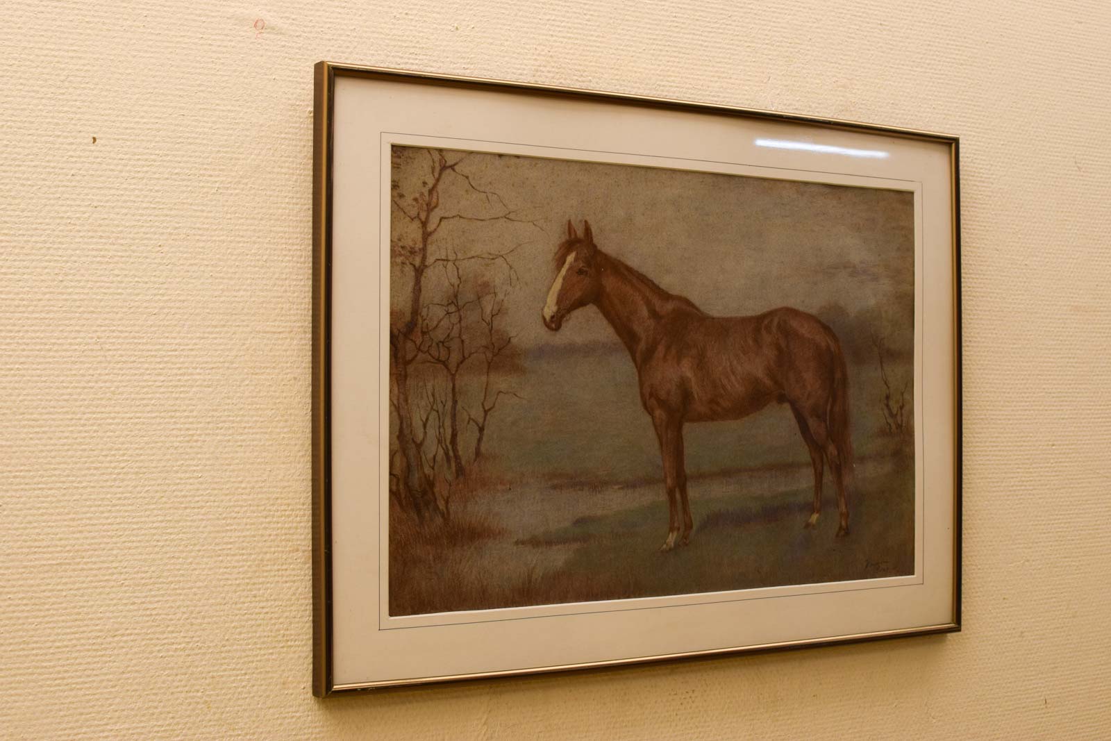 Alternative view of Prent/tekening van een paard  47763