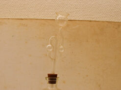 Alternative view of Laboratory glass 48122