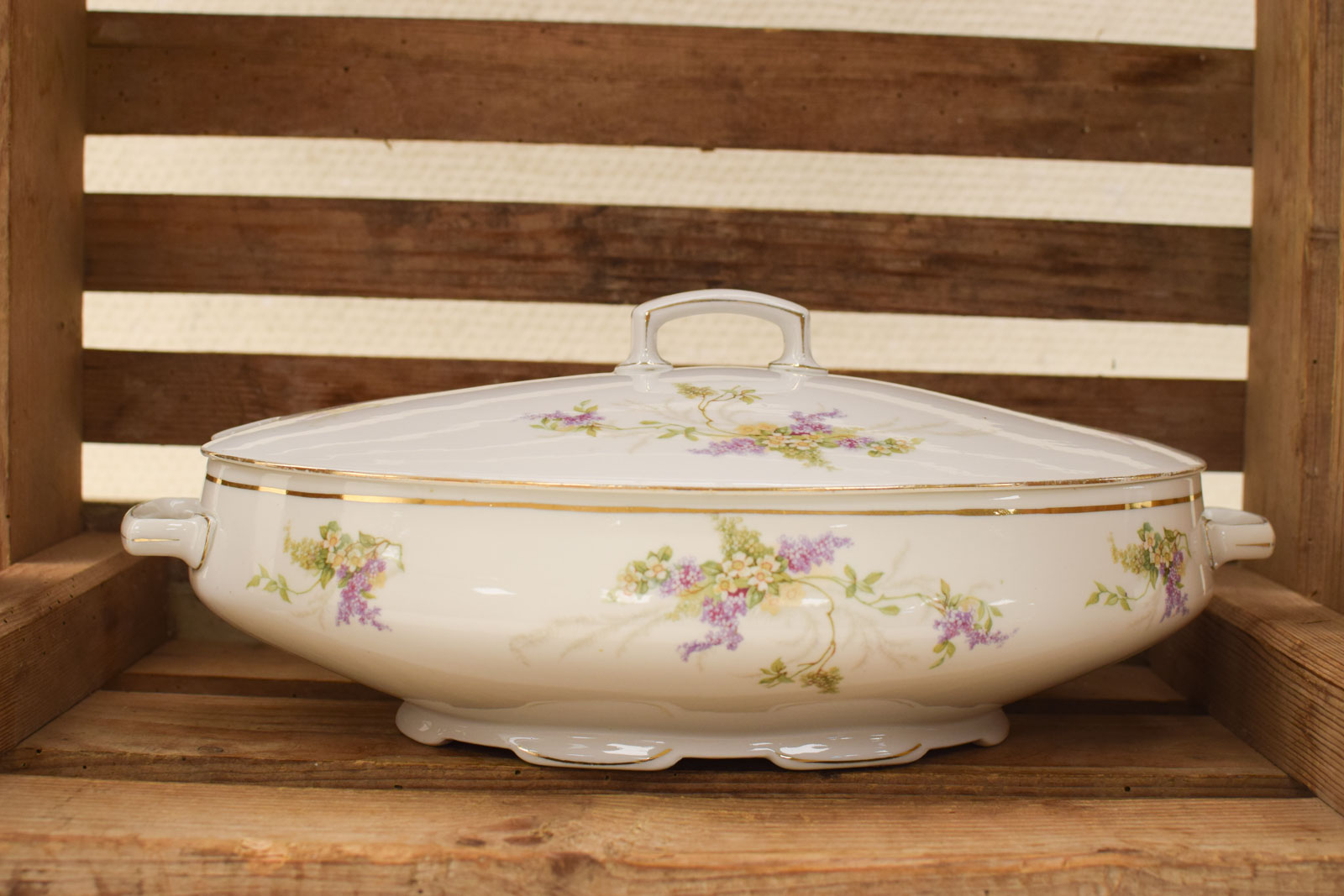 MZ Altrohlau CMR porseleinen ovale soepterrine 48541