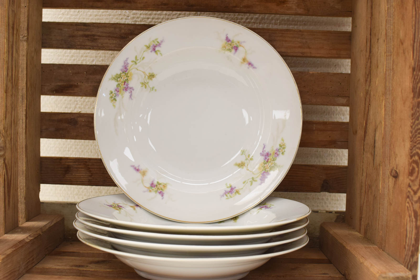 5 stuks MZ Altrohlau CMR porseleinen diepe borden 48562