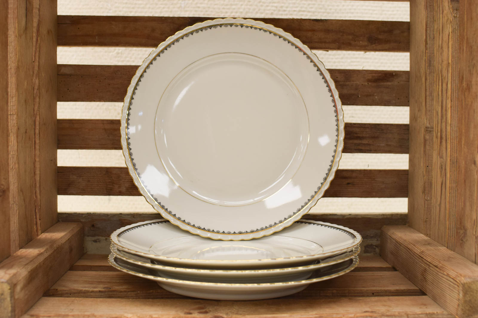 4 stuks Winterling Bavaria Victoria porseleinen borden 48579