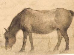Alternative view of Prent/tekening van een paard 49004
