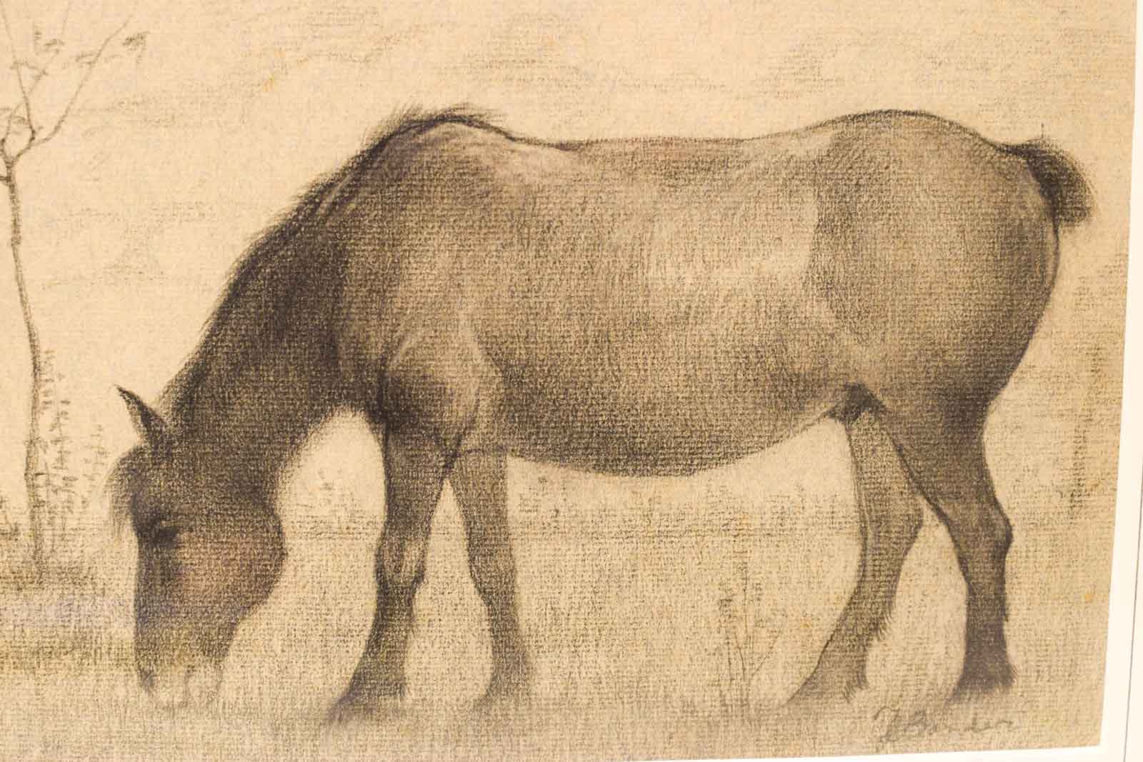 Alternative view of Prent/tekening van een paard  49004