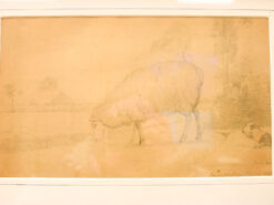 Alternative view of Prent / tekening van een Schaap 49012
