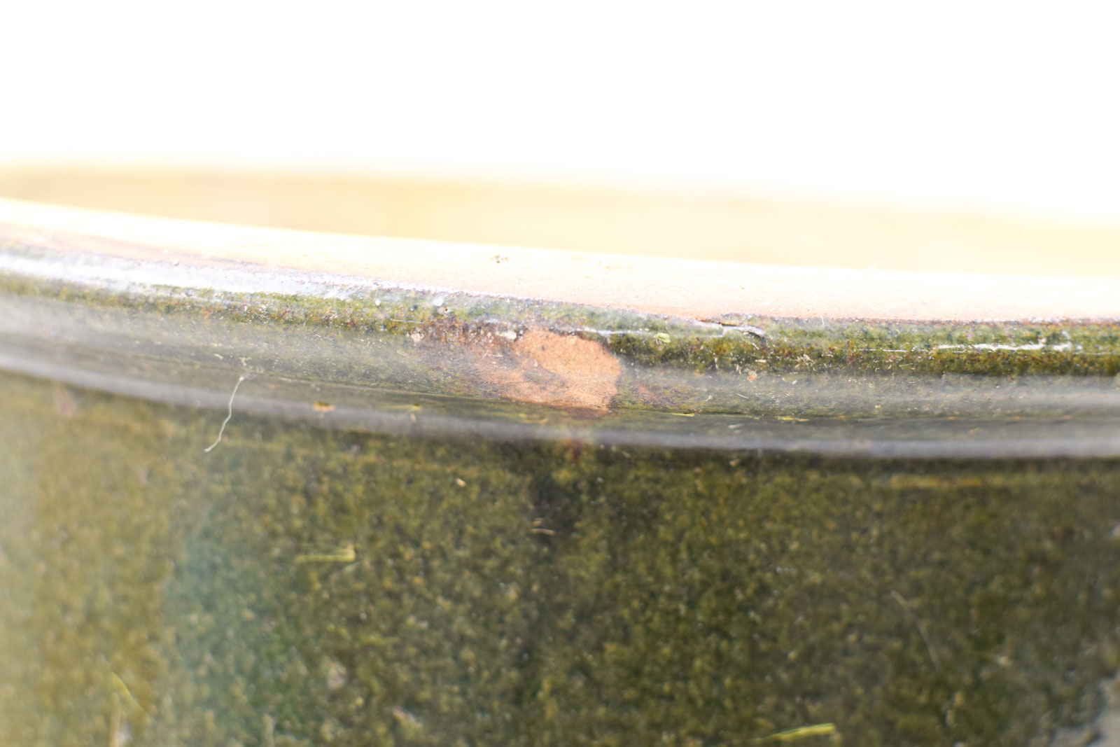 Alternative view of Bloempot 49047