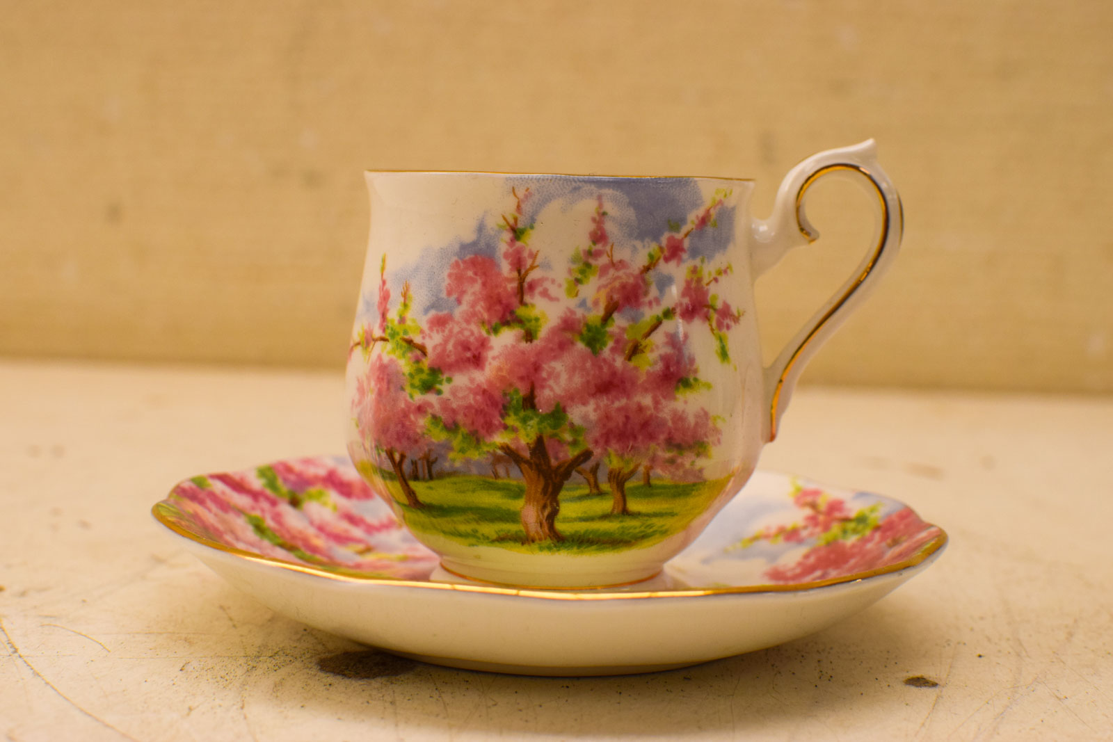 Royal Albert porseleinen kop en schotel  49048