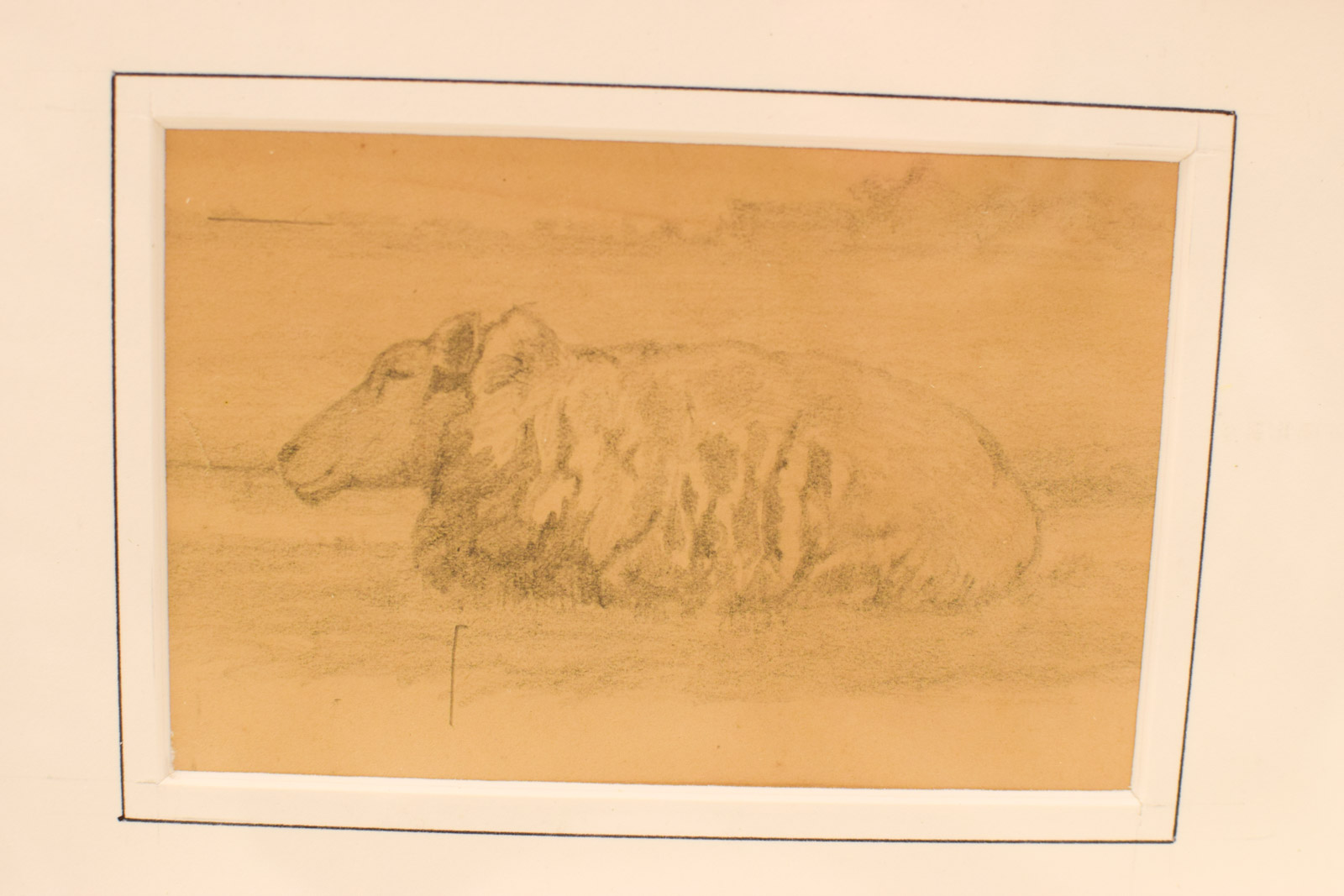 Alternative view of Prent/tekening van schapen in de wei  49071