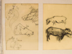 Alternative view of Prent / Tekening van schapen en paardenhoofden 49091