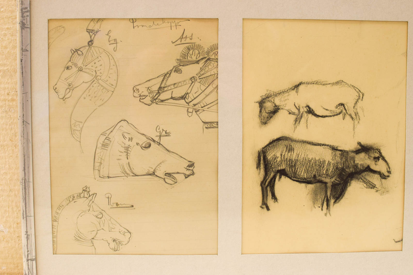 Alternative view of Prent / Tekening van schapen  en paardenhoofden  49091