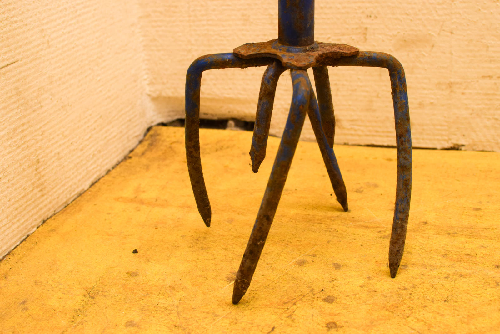 Alternative view of Grondwoeler  49113