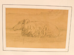 Alternative view of Prent/tekening van schapen in de wei 49071