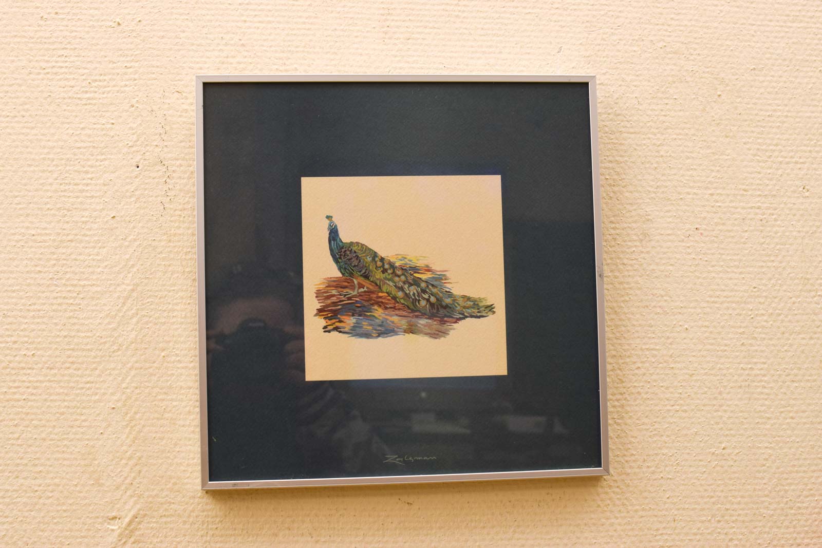 Prent/tekening van een pauw  49451