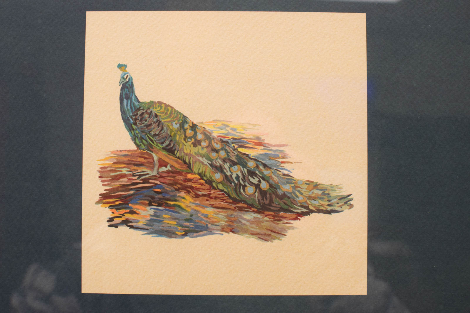 Alternative view of Prent/tekening van een pauw  49451