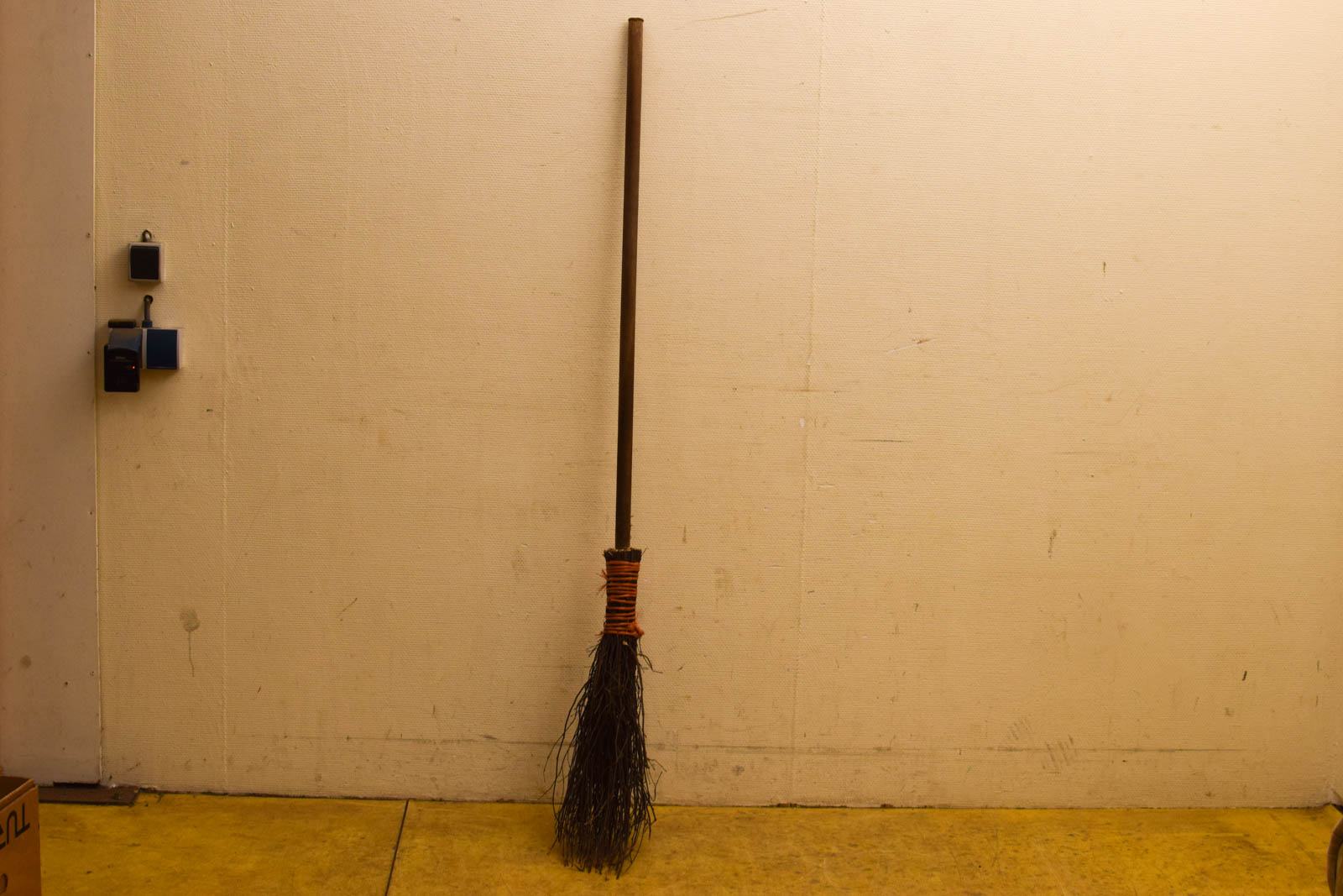 Heksenbezem / takkenbezem  49502