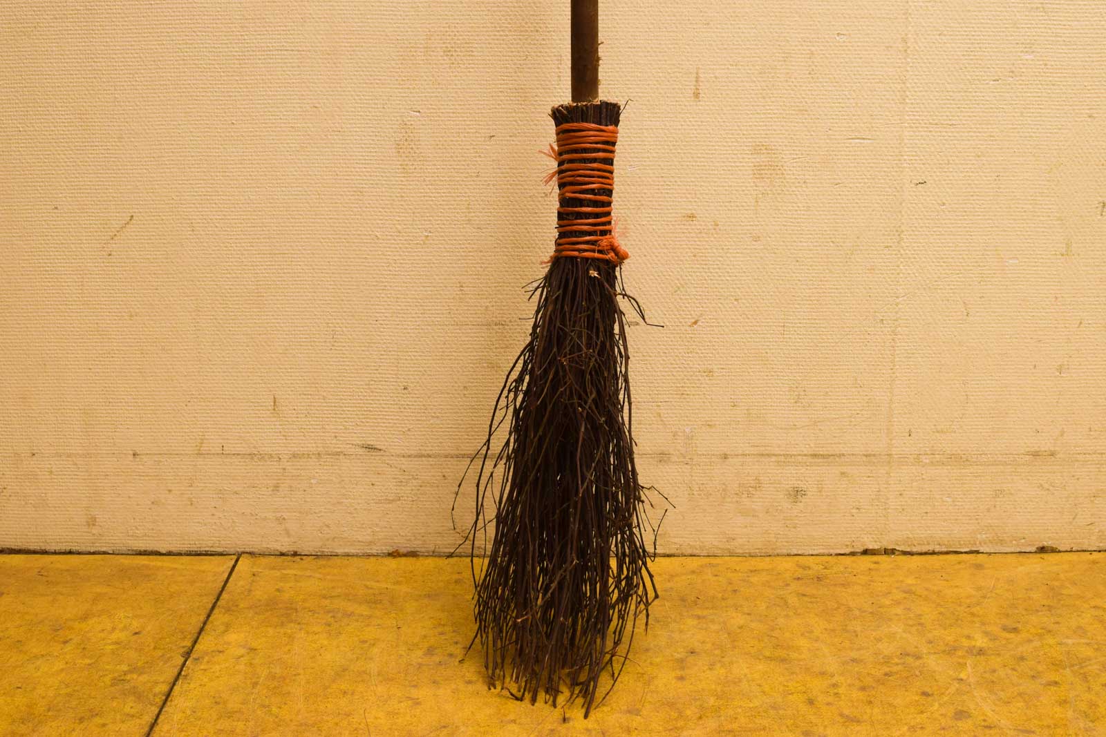 Alternative view of Heksenbezem / takkenbezem  49502