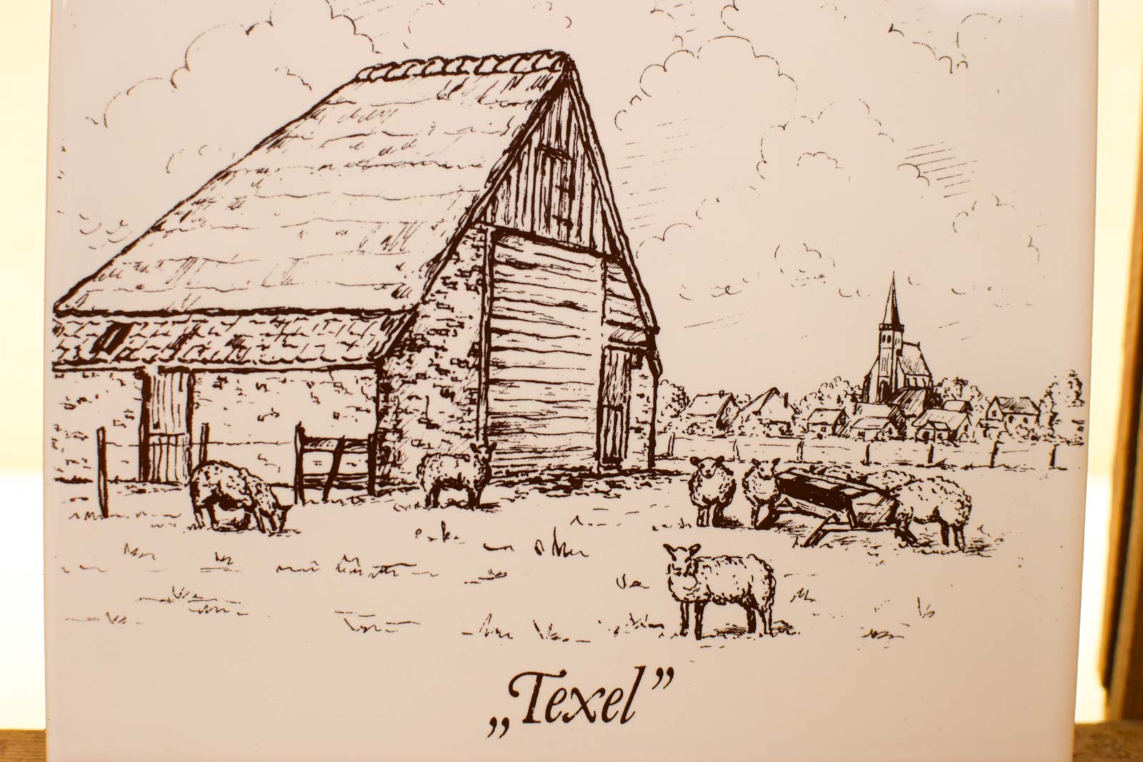 Alternative view of Wandtegel Texel  49577