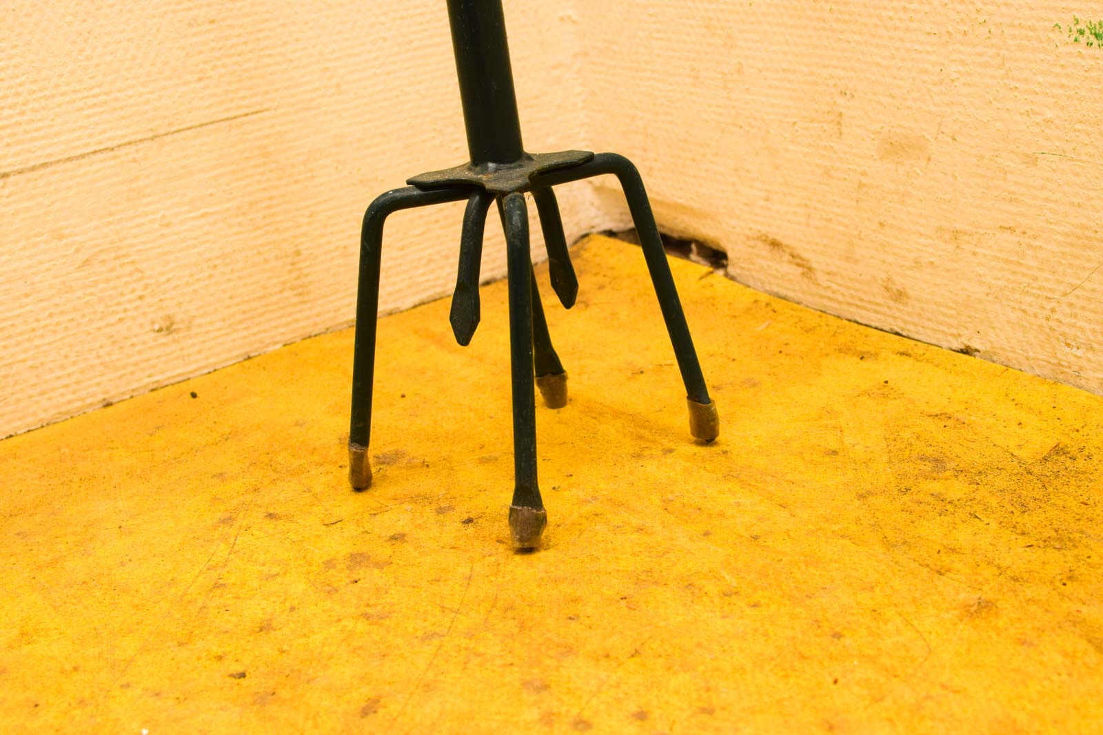 Alternative view of Grondwoeler  49651