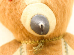 Alternative view of Oude Teddybeer 49674