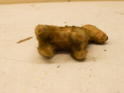 Alternative view of Antieke Steiff hond terriër fox jaren 30 49849