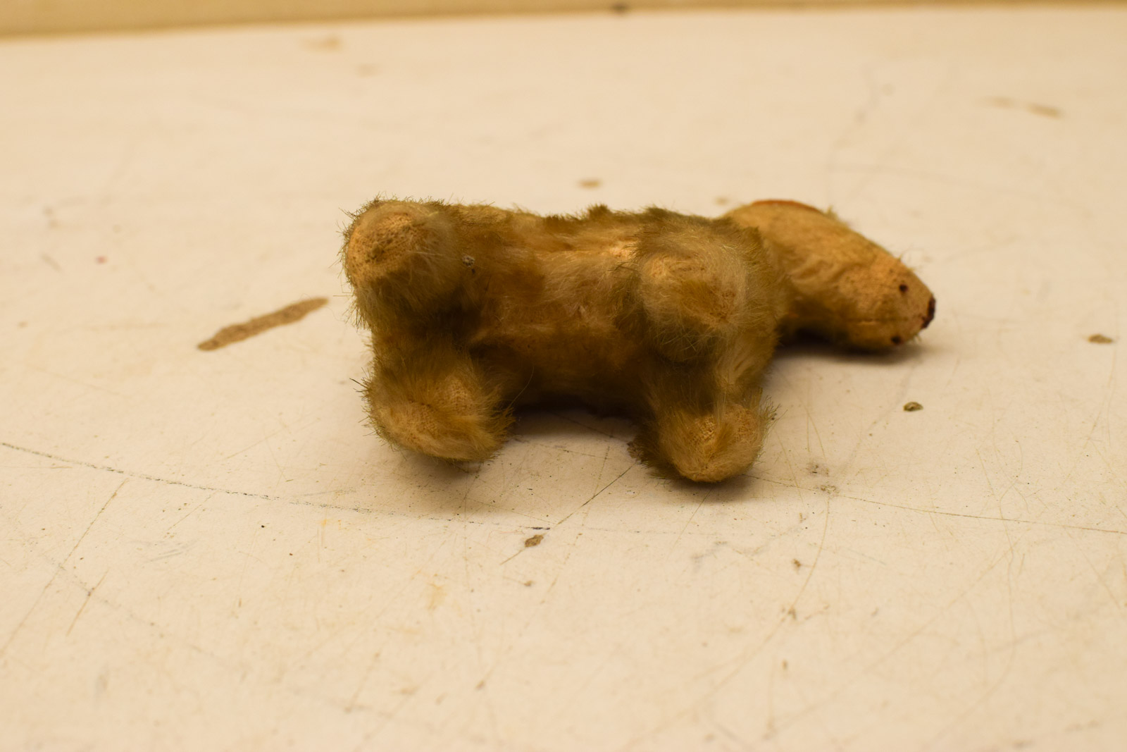 Alternative view of Antieke Steiff hond terriër fox jaren 30 49849