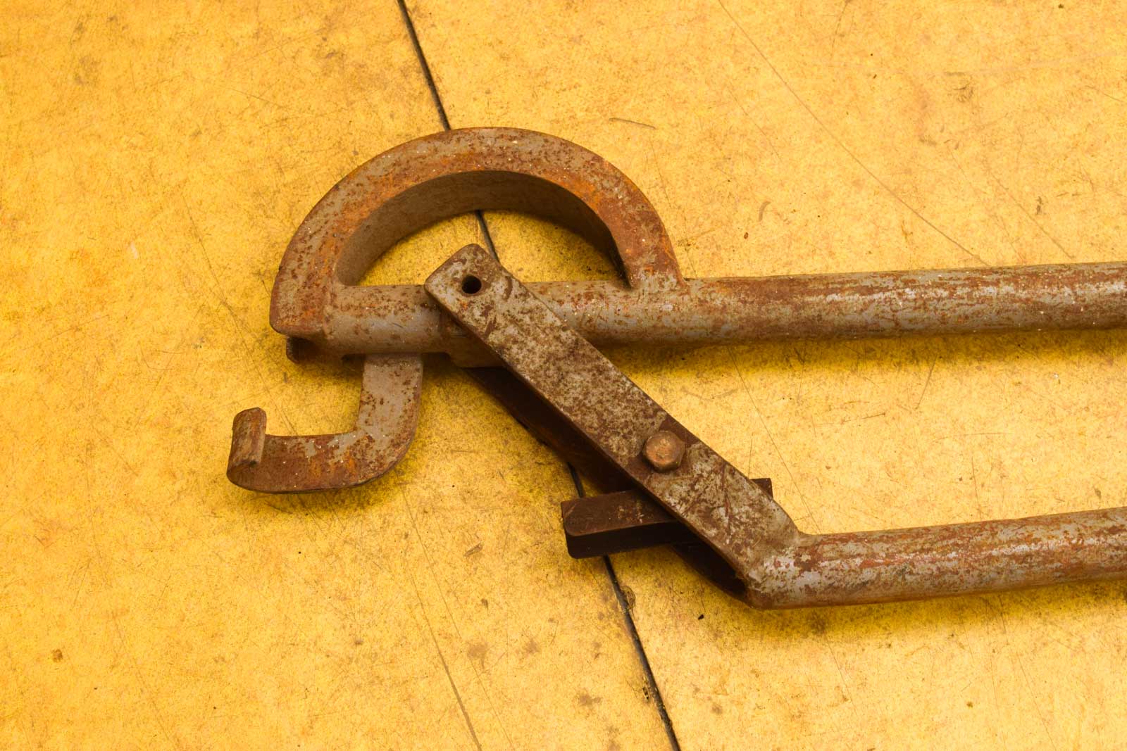 Alternative view of Buizenbuiger  49971