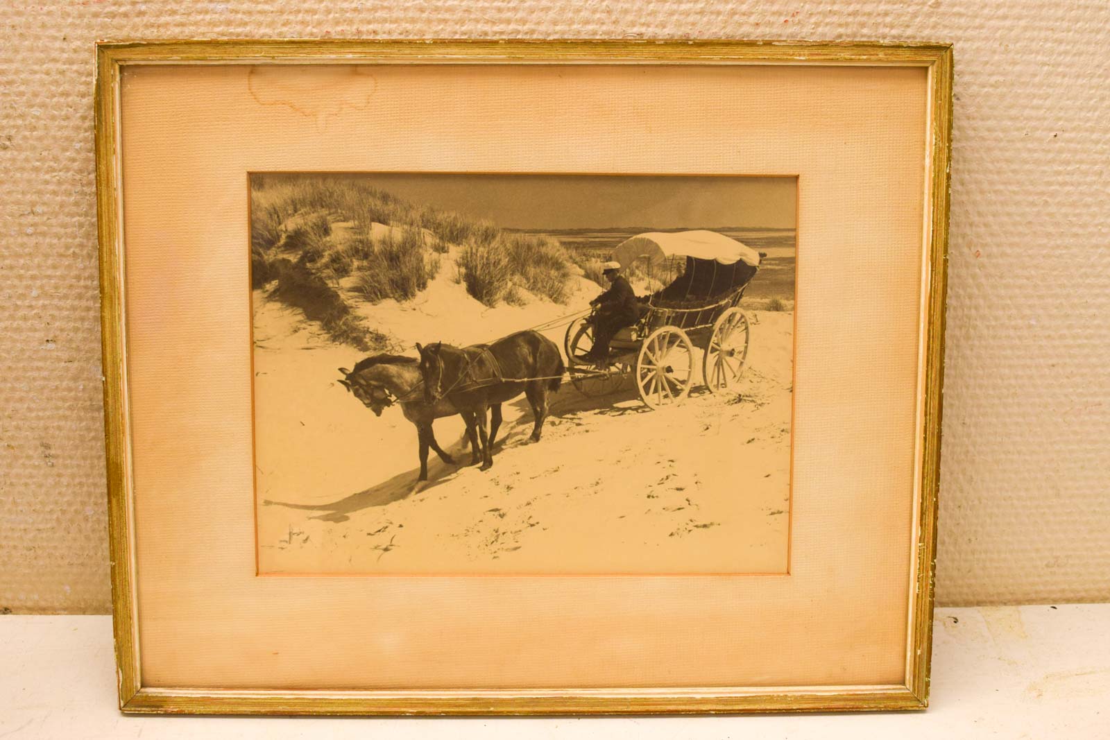 Pren van paarden met wagen op het strand 49999
