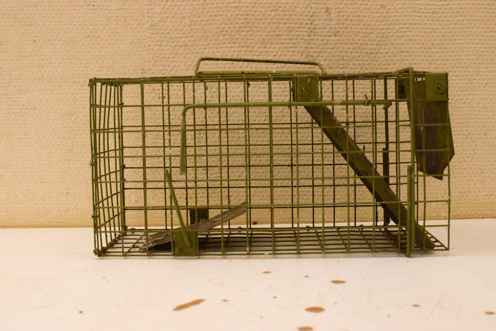 Rattenvangkooi  50202