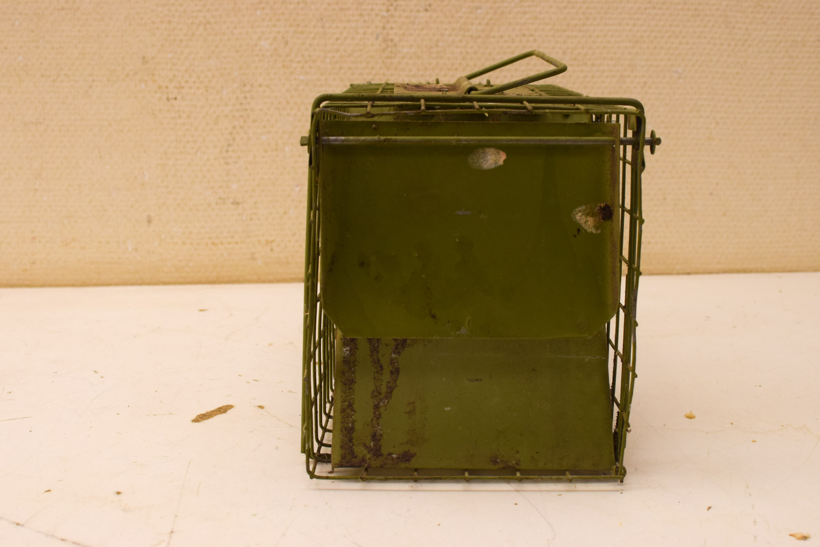 Alternative view of Rattenvangkooi  50202