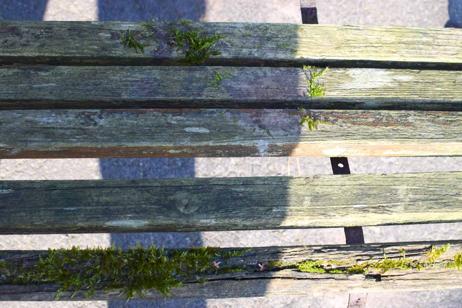 Alternative view of Houten tuinbank  30340