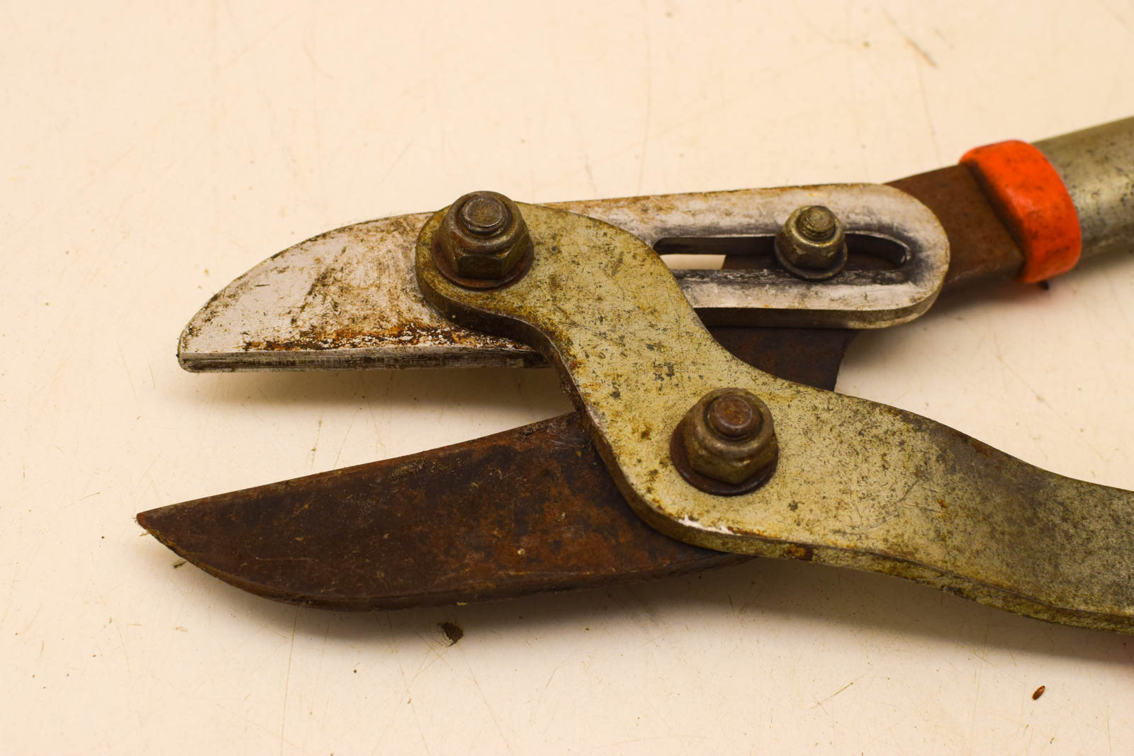 Alternative view of Takkenschaar 30373