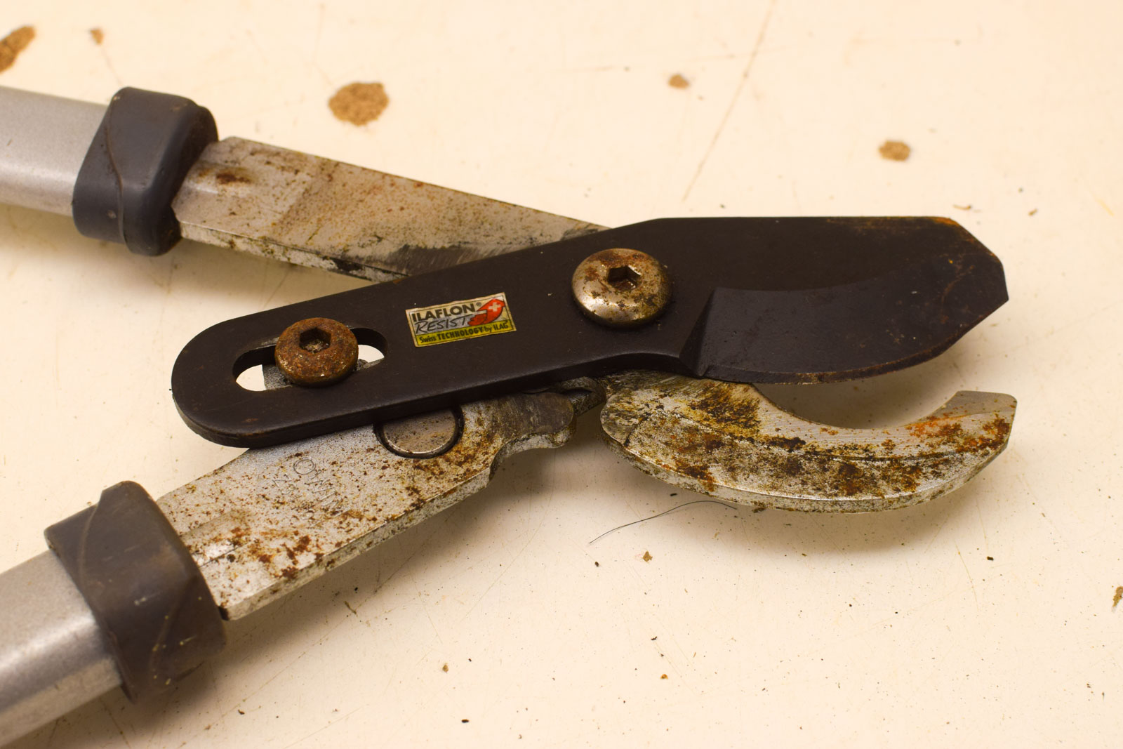 Alternative view of Takkenschaar  30388