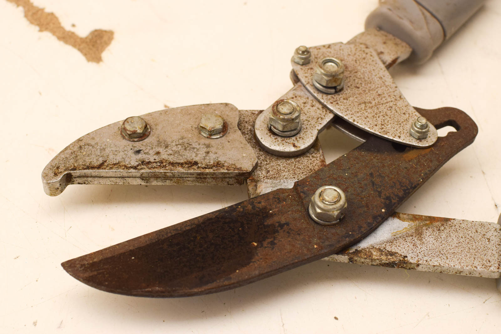 Alternative view of Central Park Heggenschaar  50423