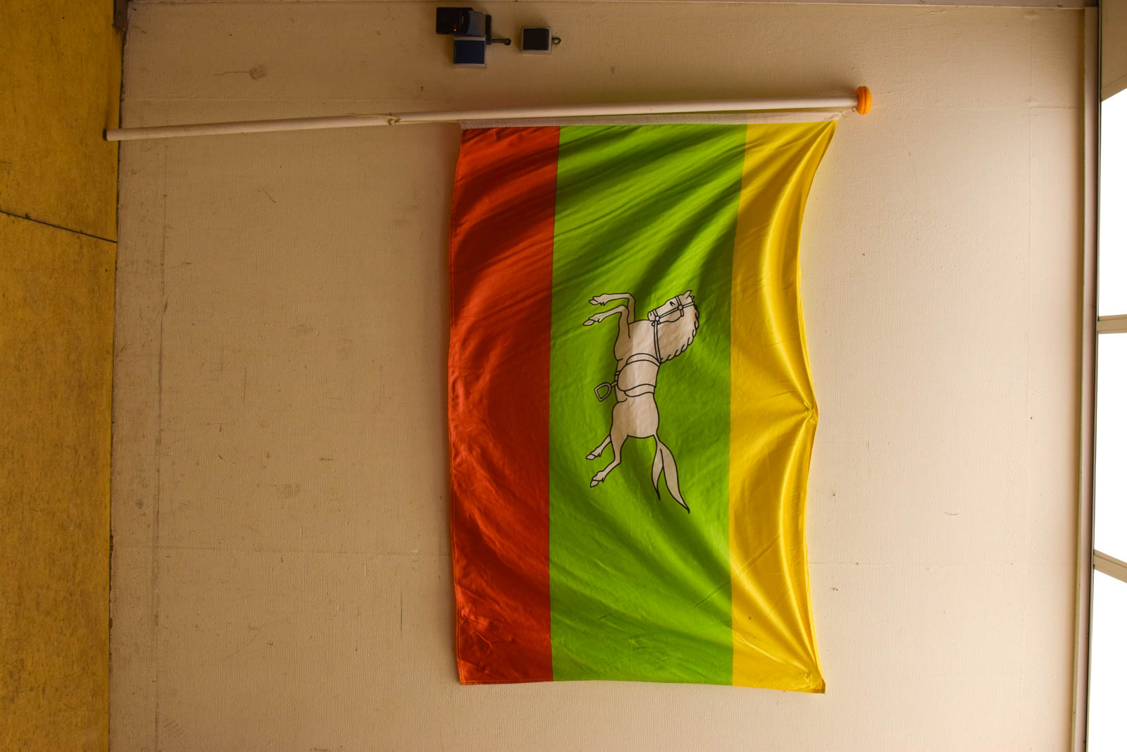 Vlaggenstok met Dorpsvlag Zuidlaren 50810