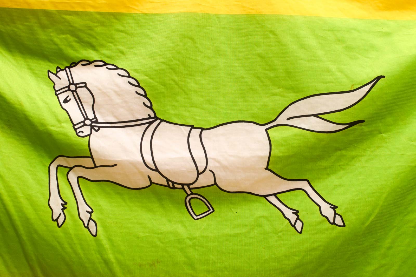 Alternative view of Vlaggenstok met Dorpsvlag Zuidlaren   50810