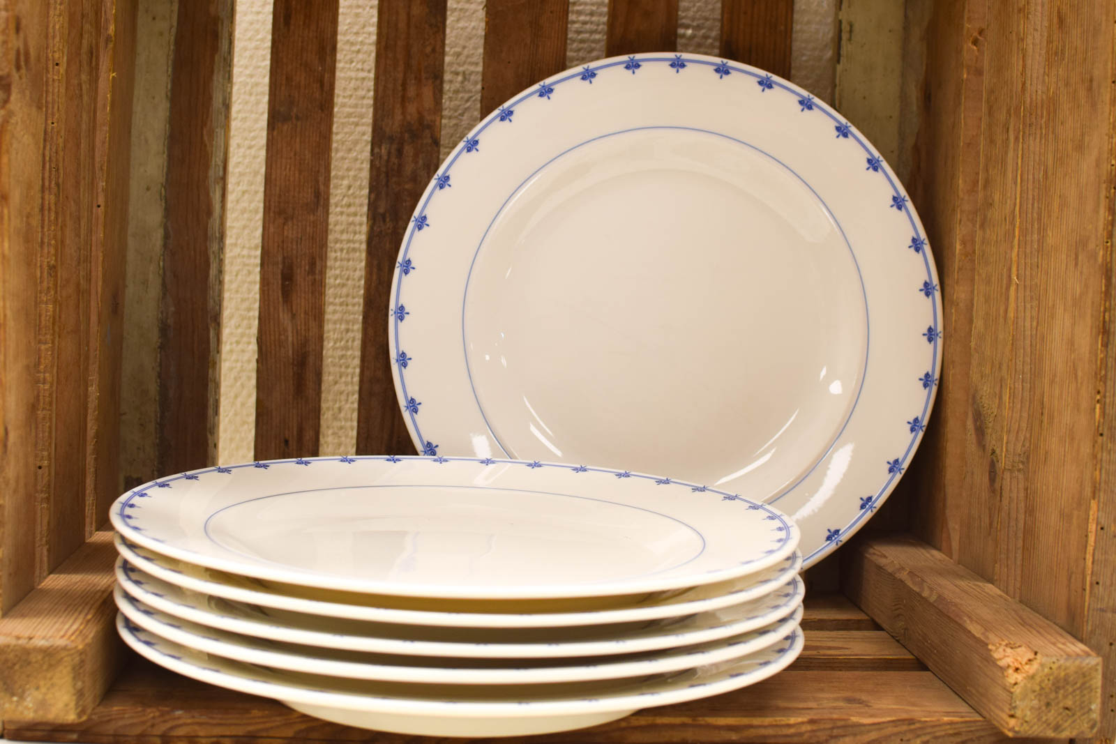 6 stuks Expat porseleinen borden 50992