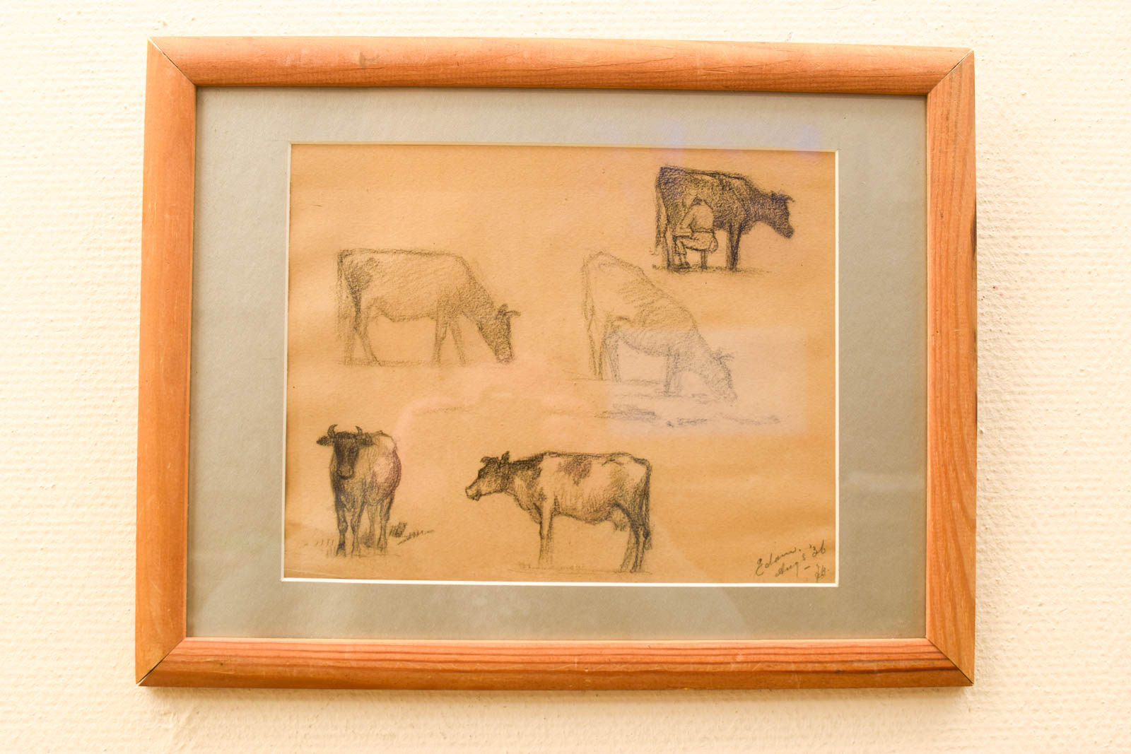 Prent / Tekening van koeien 51213