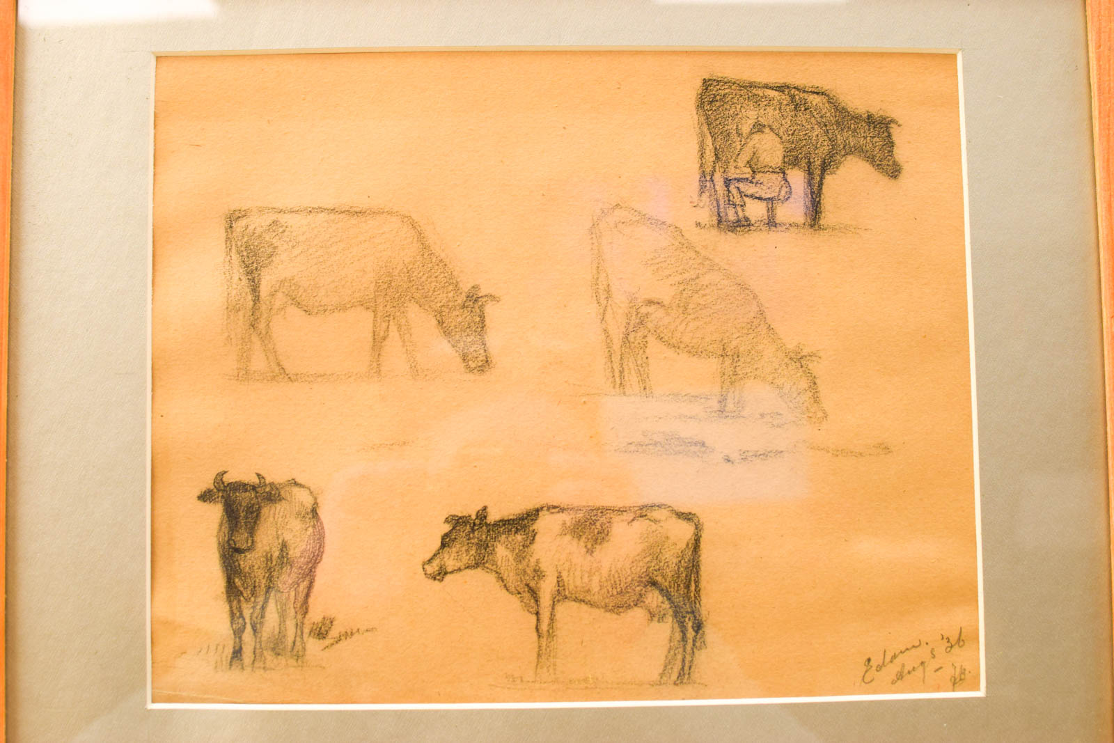 Alternative view of Prent / Tekening van koeien 51213