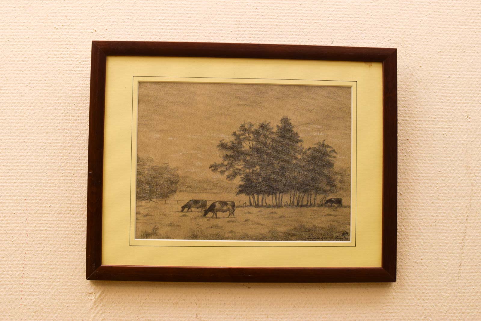 Prent ? Tekening van koeien in de wei 51225