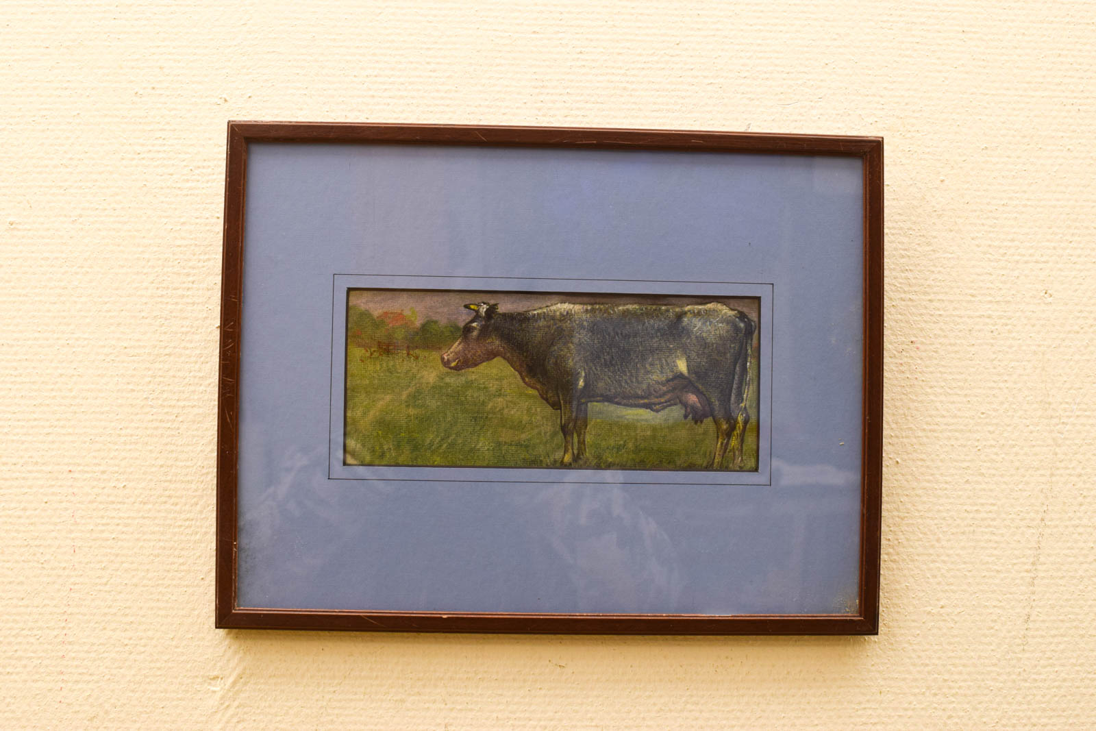 Prent/tekening van een koe 51239