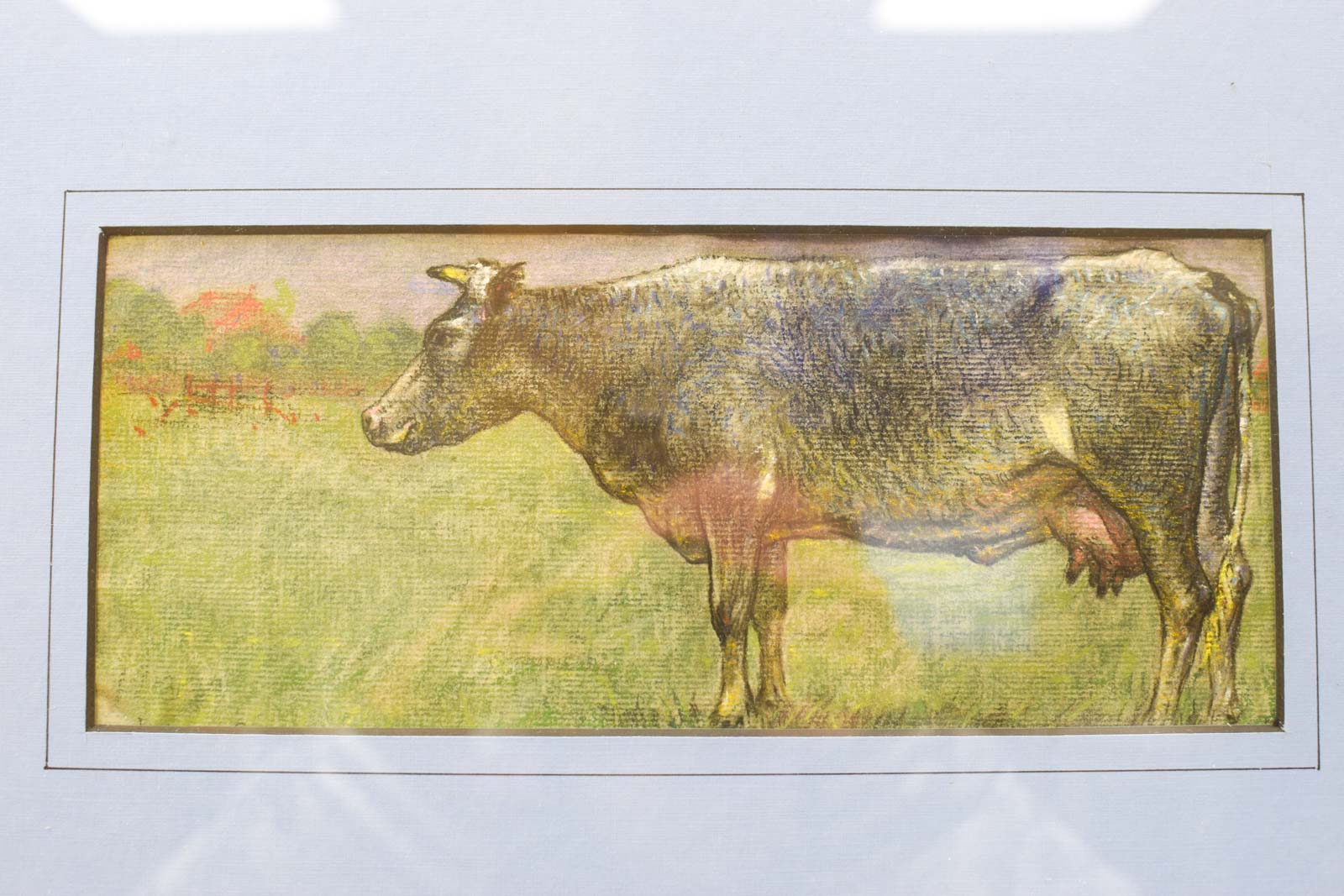 Alternative view of Prent/tekening van een koe 51239