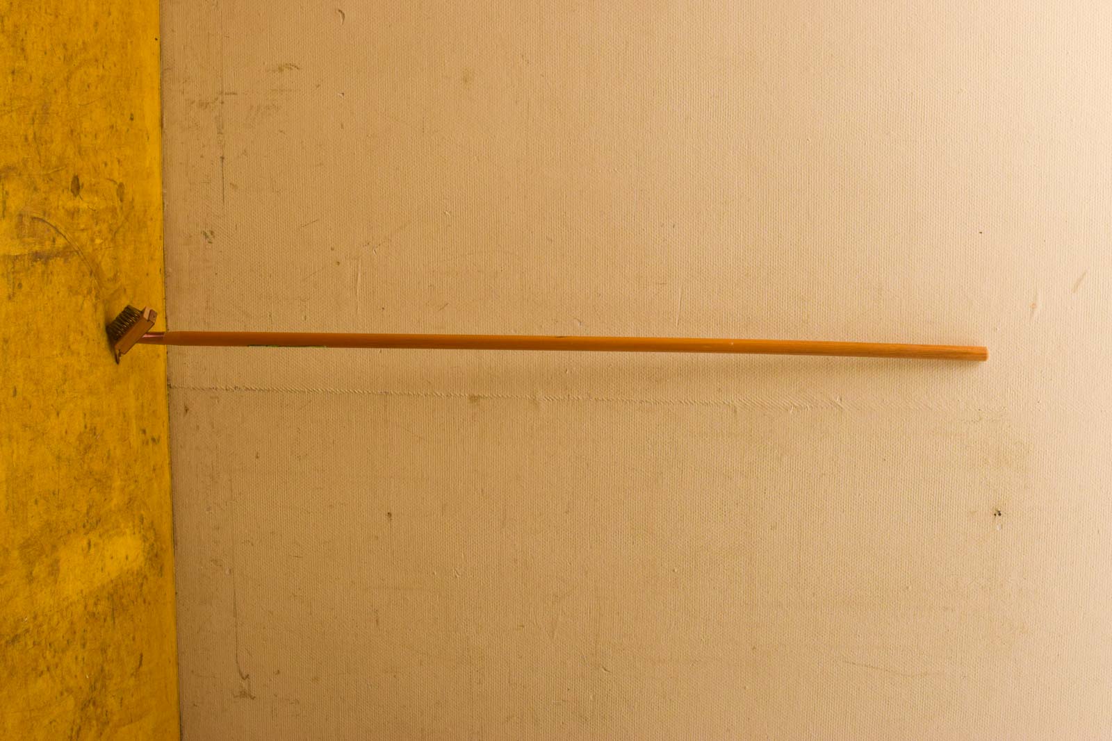 Central Park onkruidborstel met steel 51245