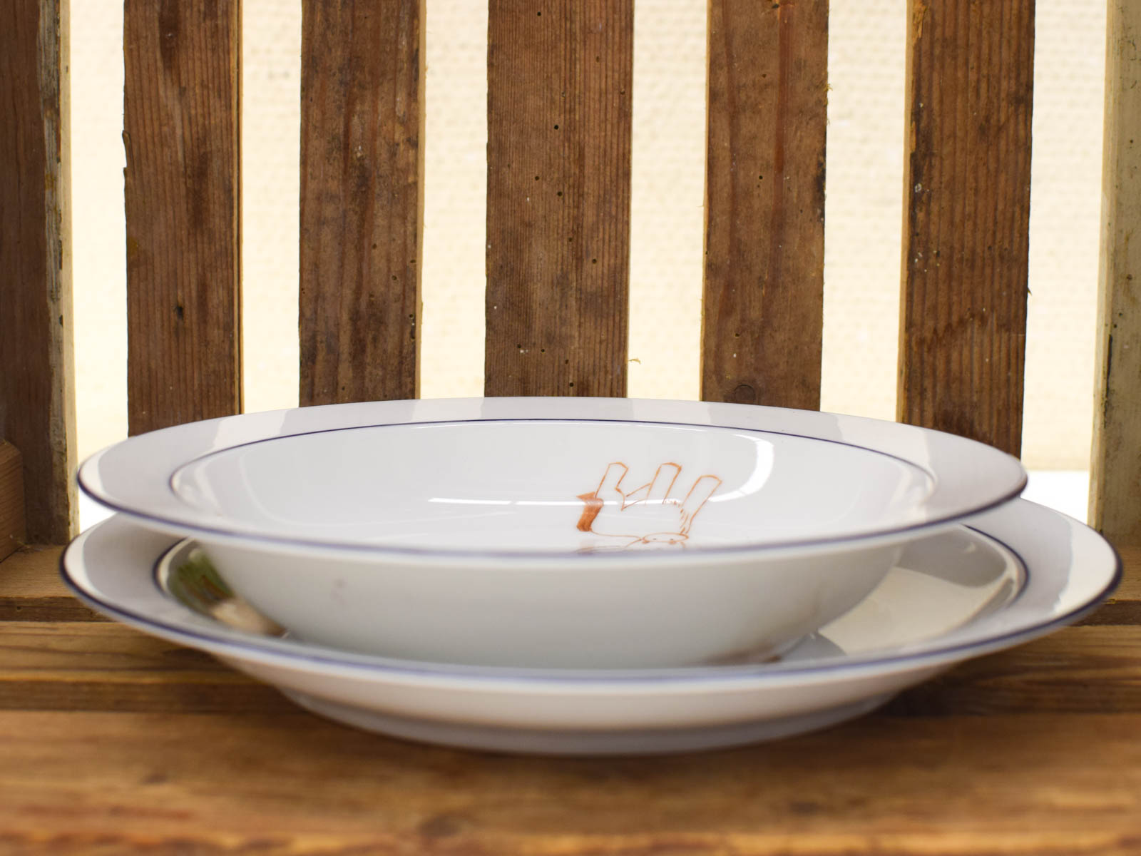 Seltmann Weiden Bavaria porseleinen borden 51331