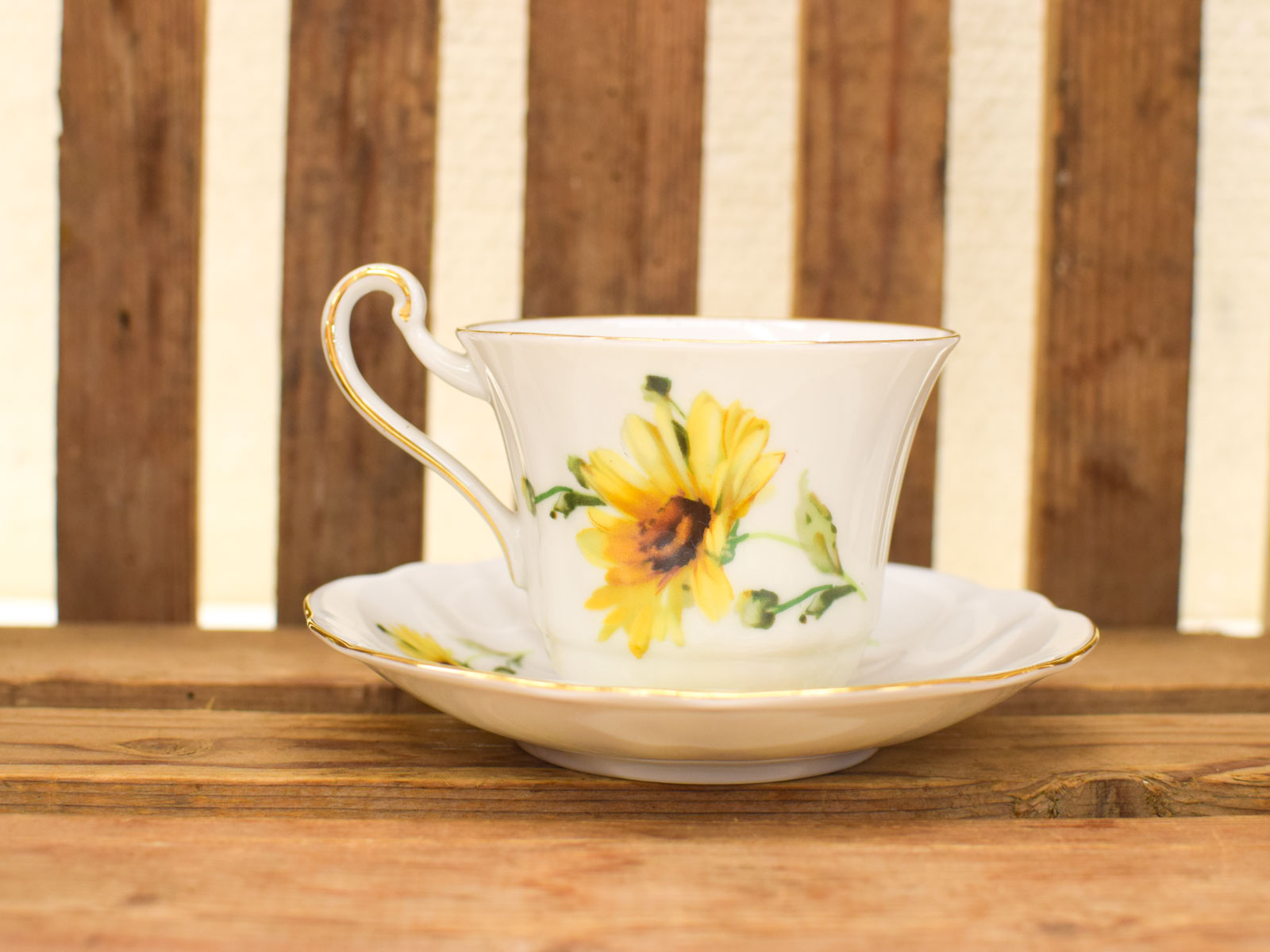 Rheinpfalz porseleinen kop en schotel 51346