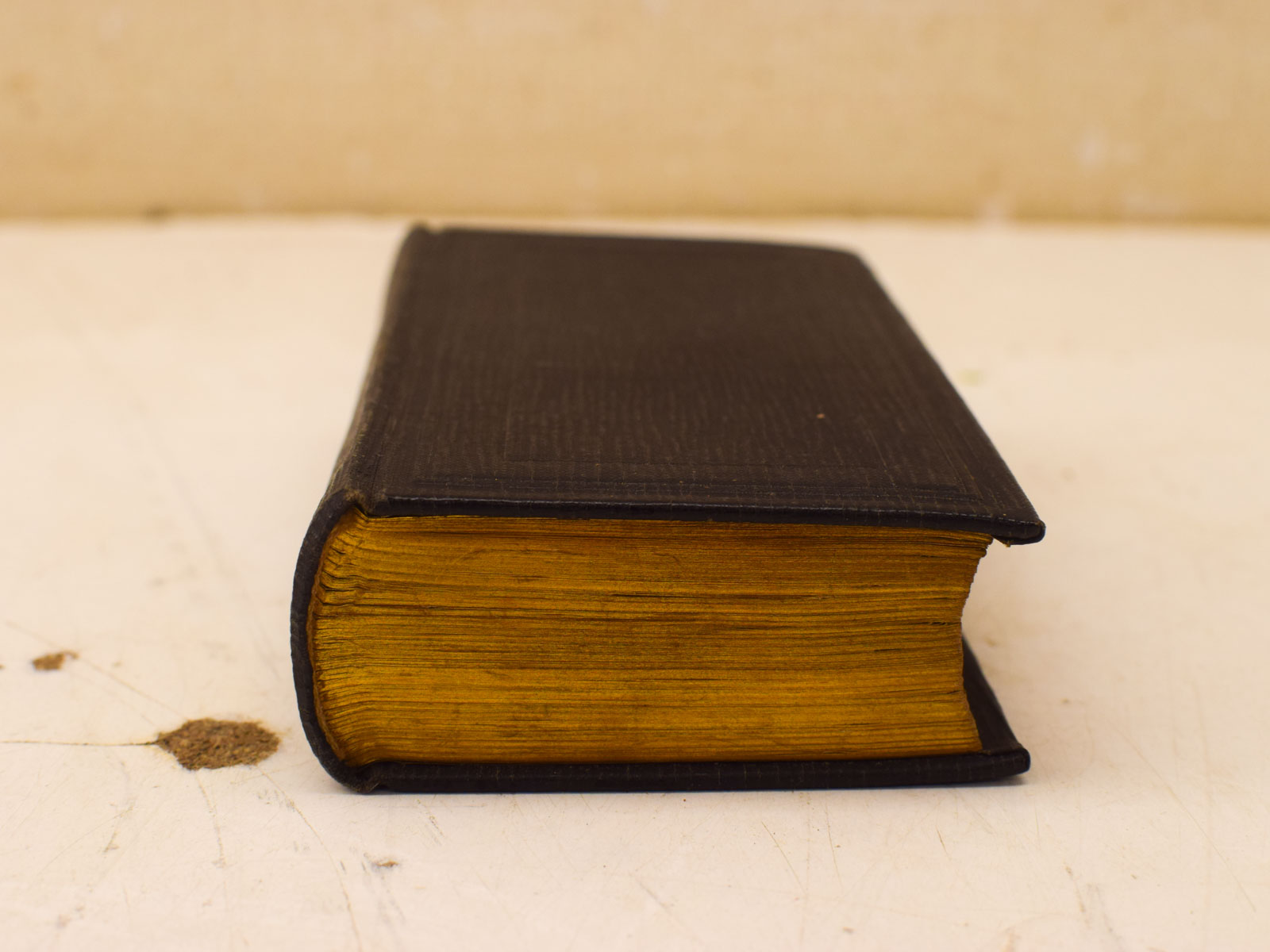 Bijbel het Nieuwe Testament 51984