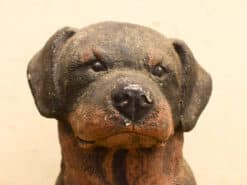 Alternative view of Rottweiler tuinbeeld 53101